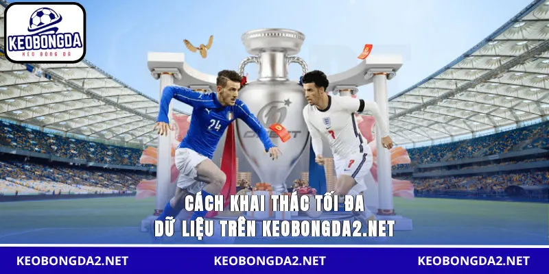 Cách khai thác tối đa dữ liệu trên omarcuellar.com.co