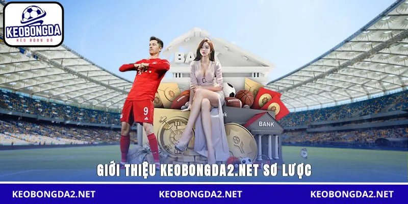 Giới thiệu omarcuellar.com.co sơ lược